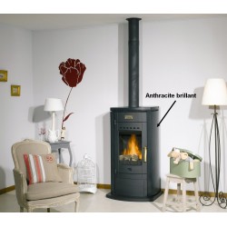 Poêle à Bois GODIN CORAIL Anthracite Brillant 10 kW