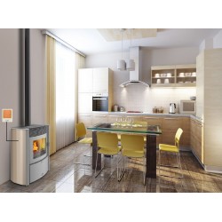 Poêle à Bois ARCE CAMINETTO 50 S Cuir FALCI 13 kW